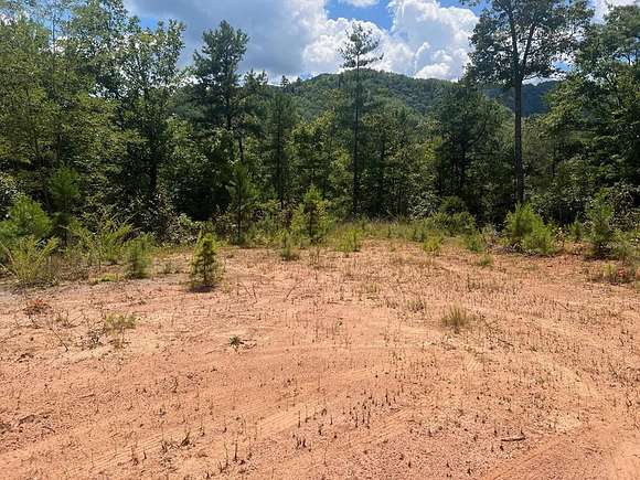 6.38 Acres of Residential Land for Sale in Robbinsville, North Carolina