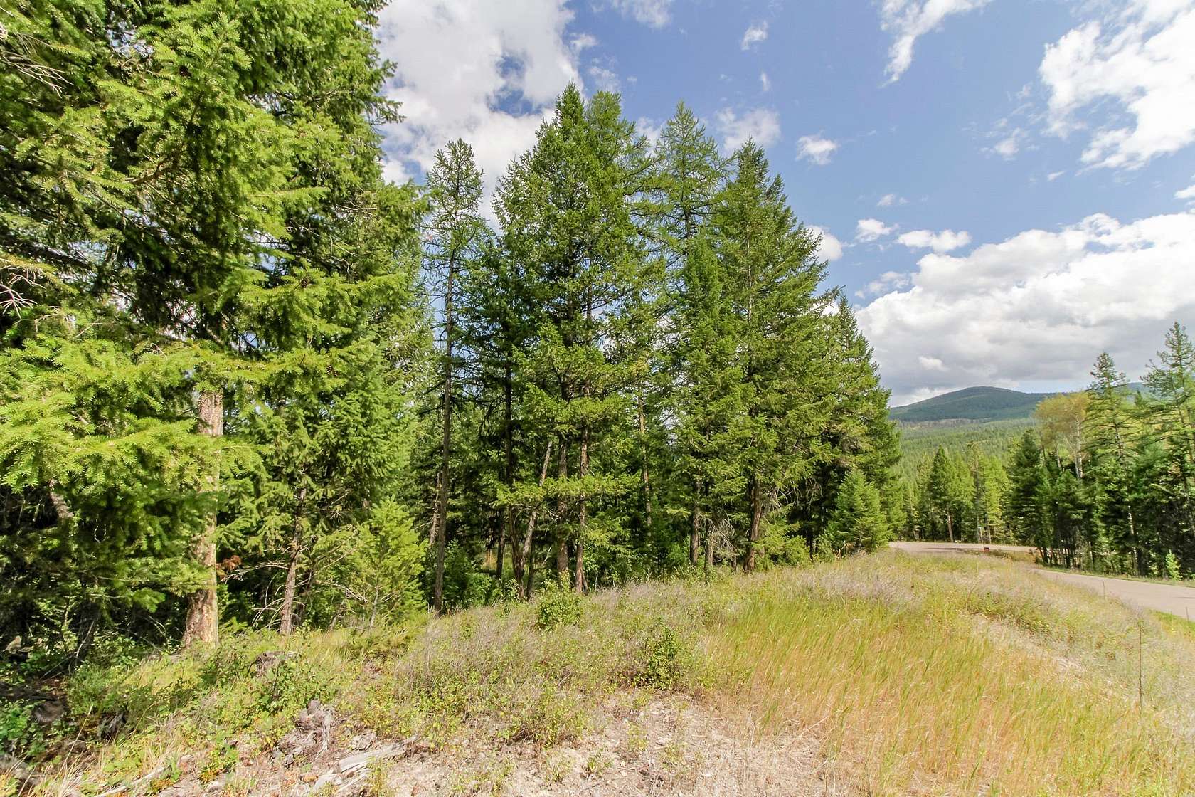 17.31 Acres of Recreational Land for Sale in Kila, Montana