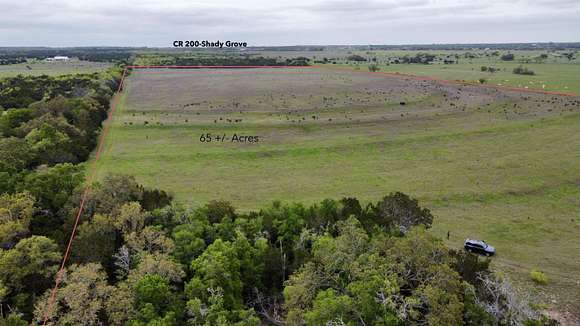 65 Acres of Recreational Land & Farm for Sale in Burnet, Texas