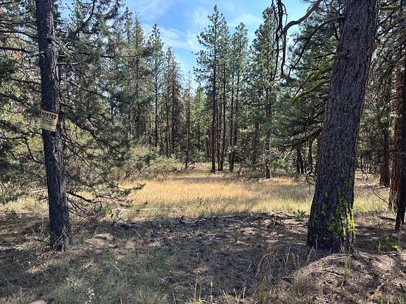 2.65 Acres of Residential Land for Sale in Bonanza, Oregon