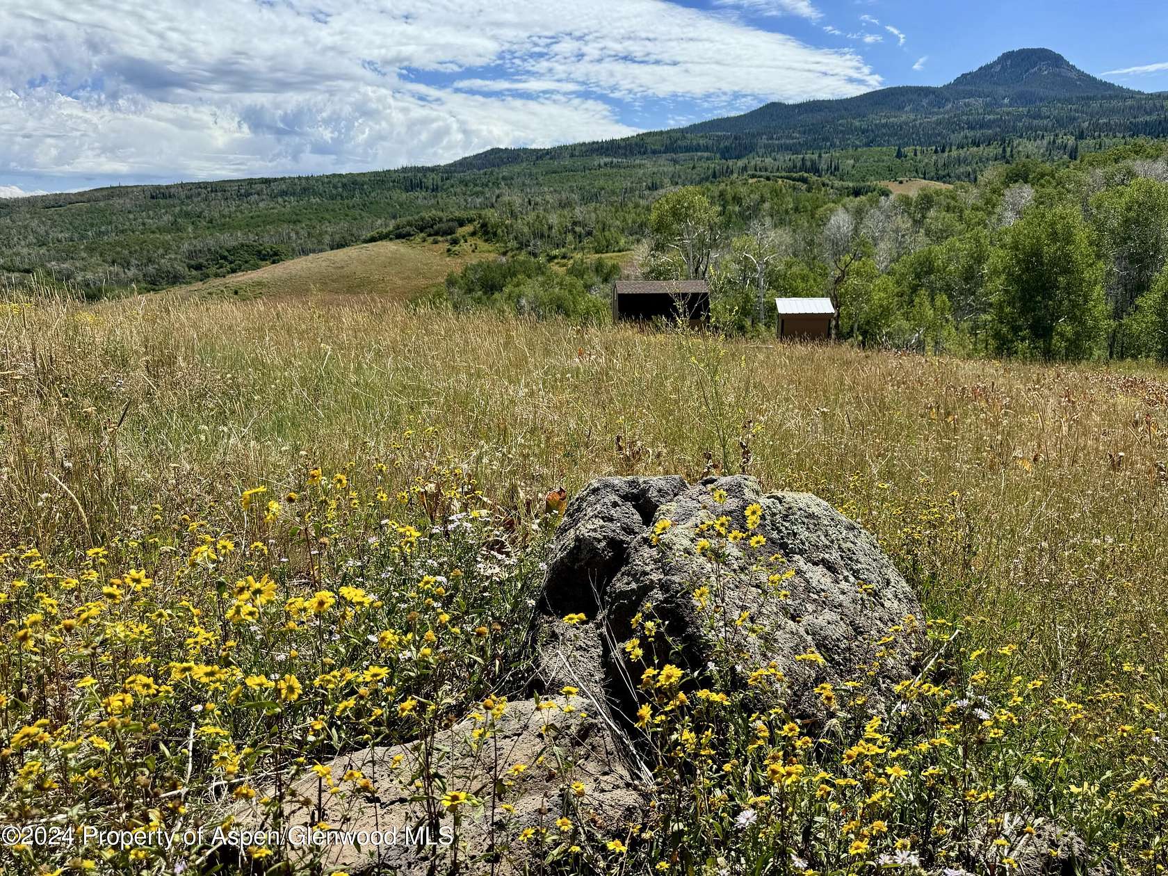 5 Acres of Improved Residential Land for Sale in Craig, Colorado