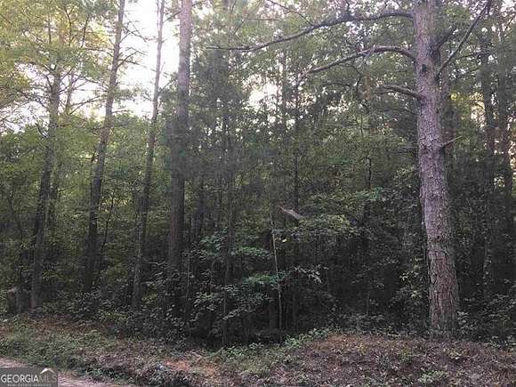 10.54 Acres of Land for Sale in Molena, Georgia