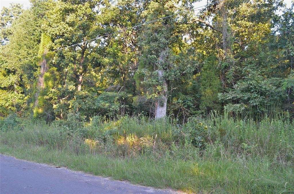 0.169 Acres of Residential Land for Sale in Log Cabin, Texas