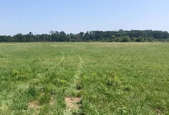 21.71 Acres of Agricultural Land for Sale in Mount Pleasant, Texas