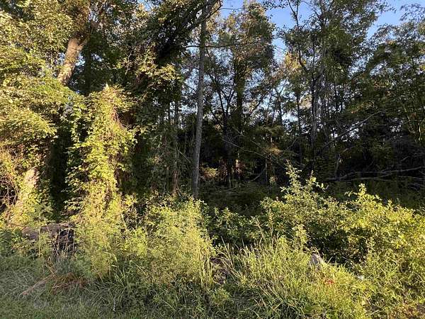 0.13 Acres of Residential Land for Sale in Gilmer, Texas