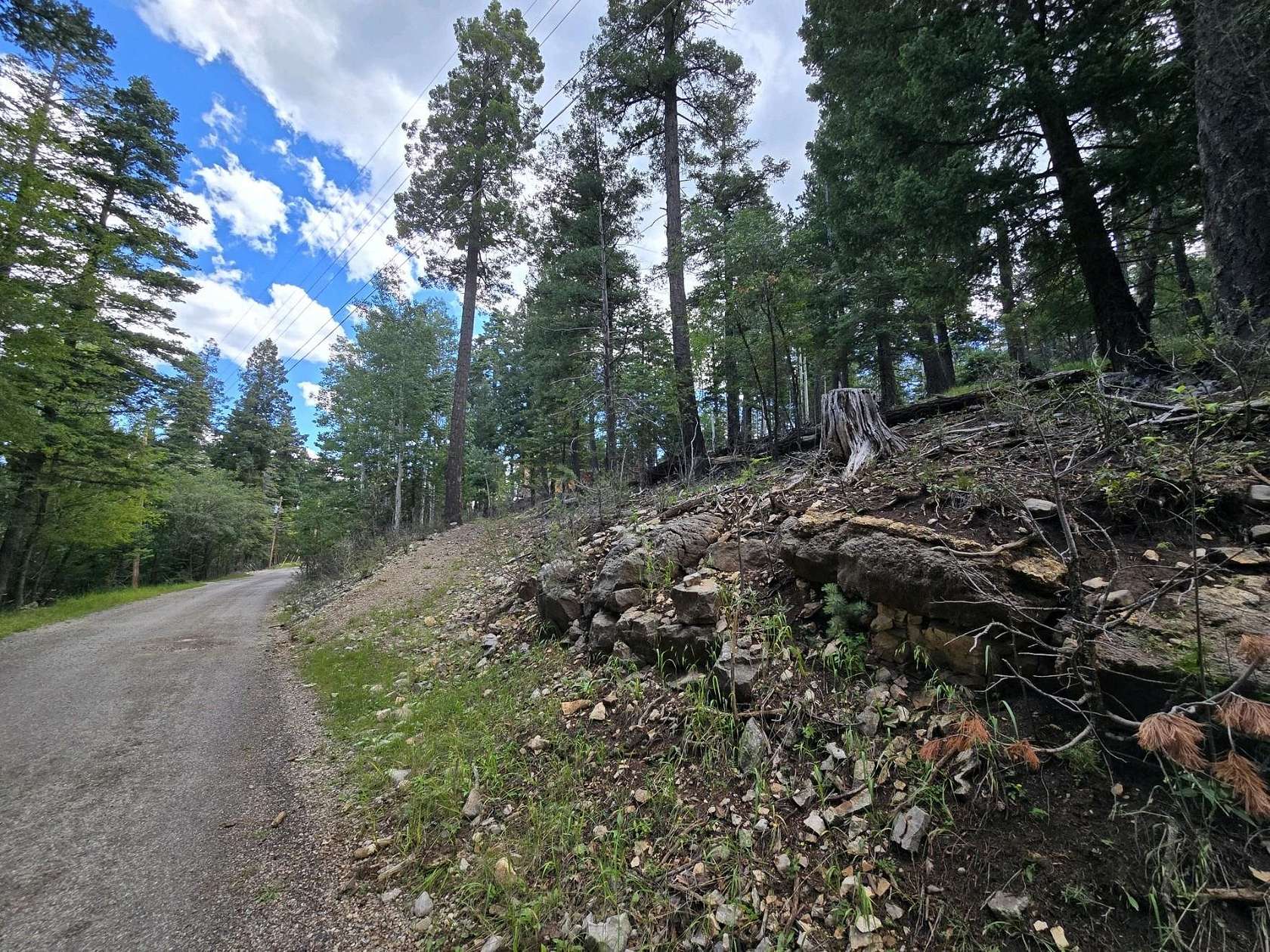 0.368 Acres of Residential Land for Sale in Cloudcroft, New Mexico