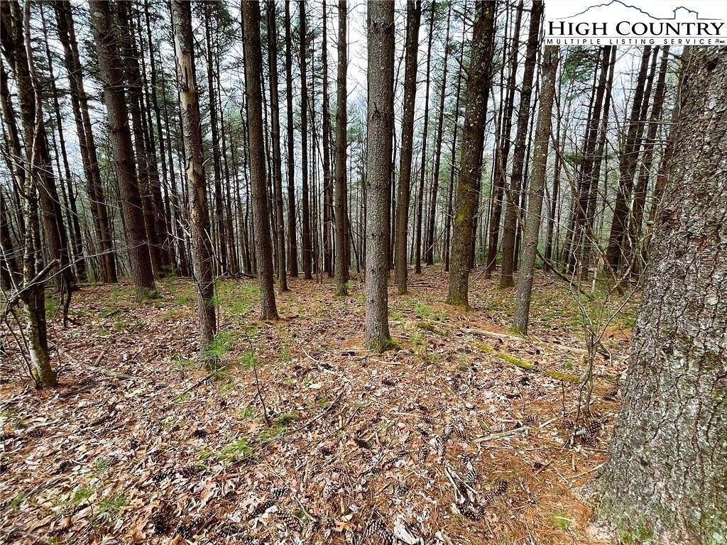 0.64 Acres of Residential Land for Sale in Todd, North Carolina