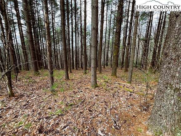 0.64 Acres of Residential Land for Sale in Todd, North Carolina