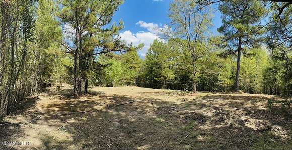 1.1 Acres of Residential Land for Sale in Pearl, Mississippi