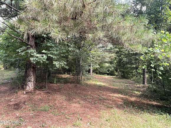 197.83 Acres of Recreational Land for Sale in Benton, Mississippi