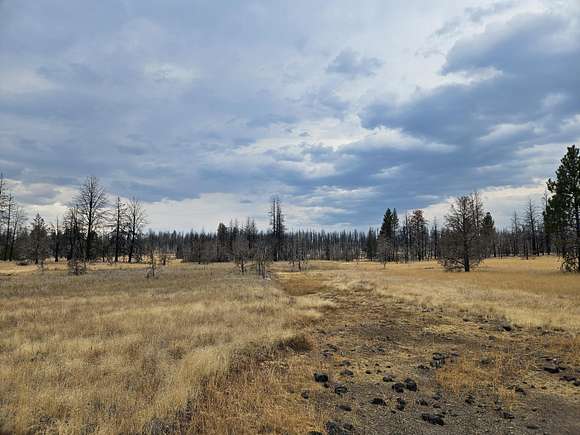 20 Acres of Land for Sale in Bly, Oregon