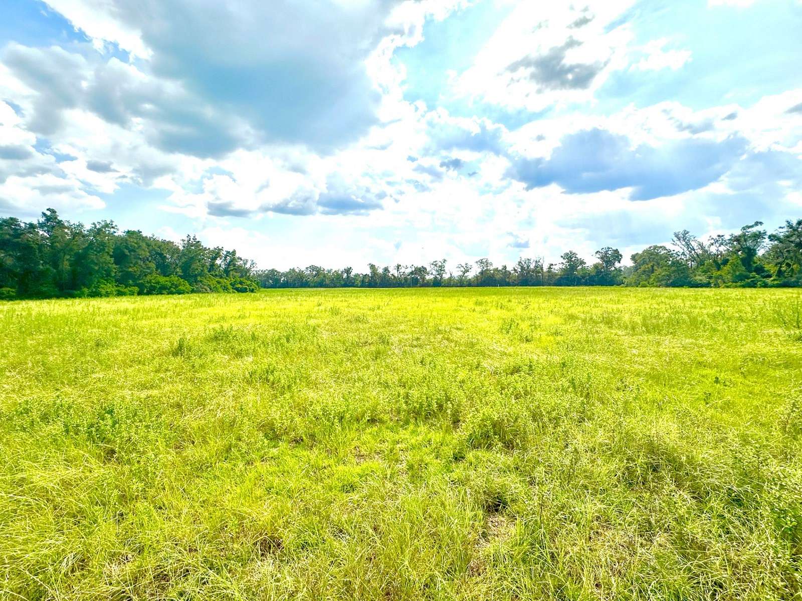 10.01 Acres of Land for Sale in Mayo, Florida