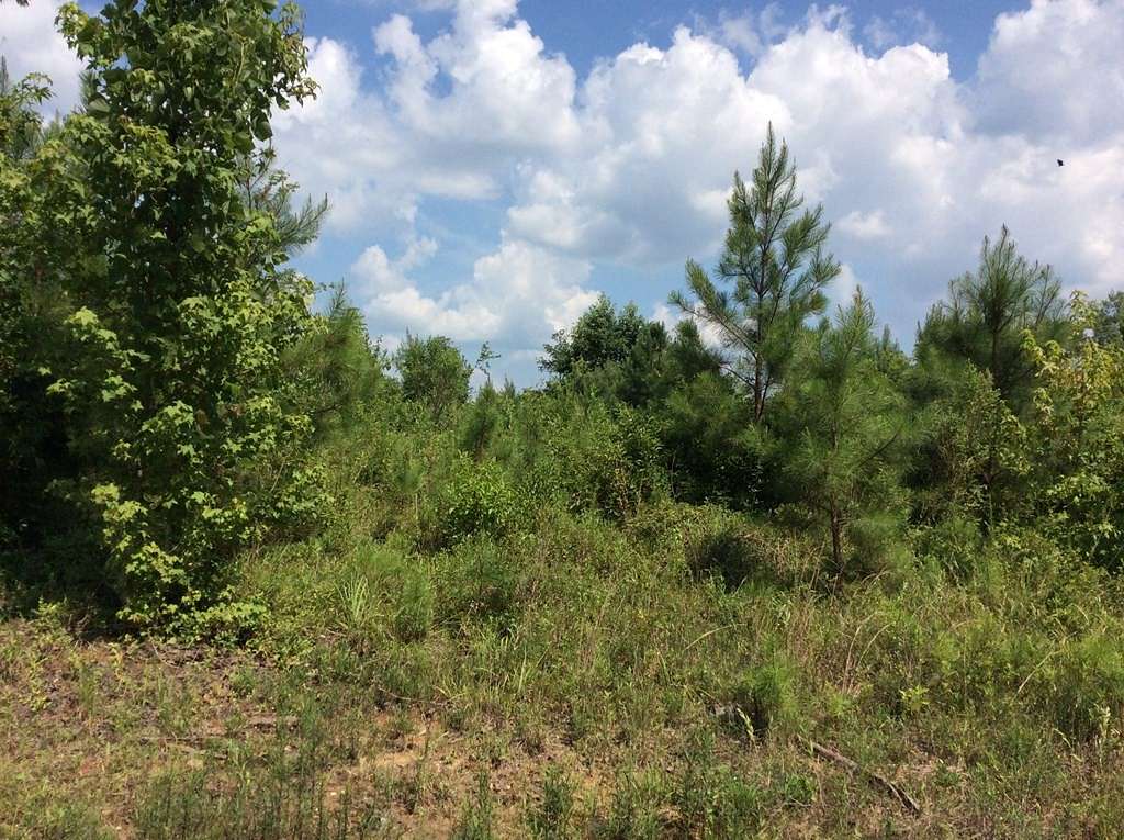 21 Acres of Recreational Land for Sale in Luverne, Alabama