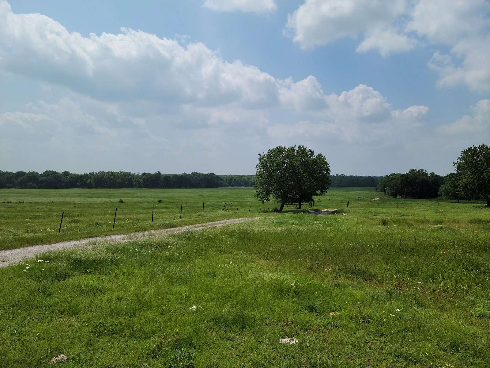 124.5 Acres of Recreational Land & Farm for Sale in Pauls Valley, Oklahoma