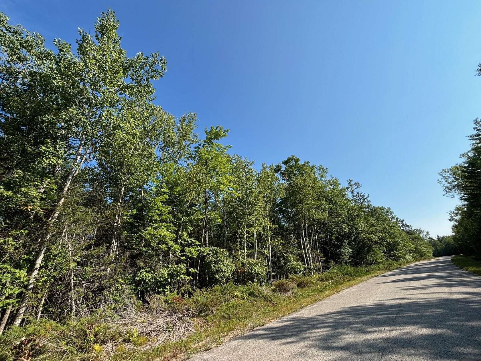 0.76 Acres of Land for Sale in Presque Isle, Michigan