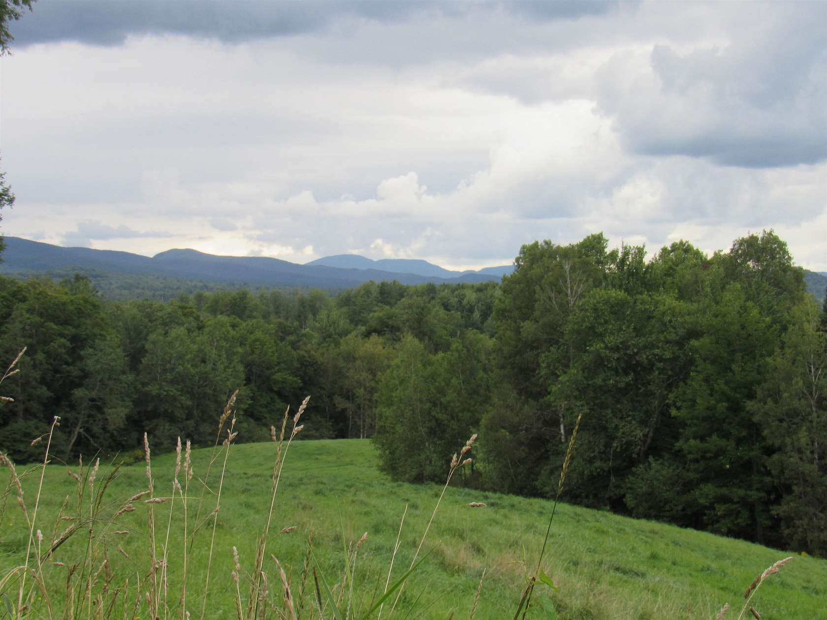 49.5 Acres of Recreational Land for Sale in Troy, Vermont