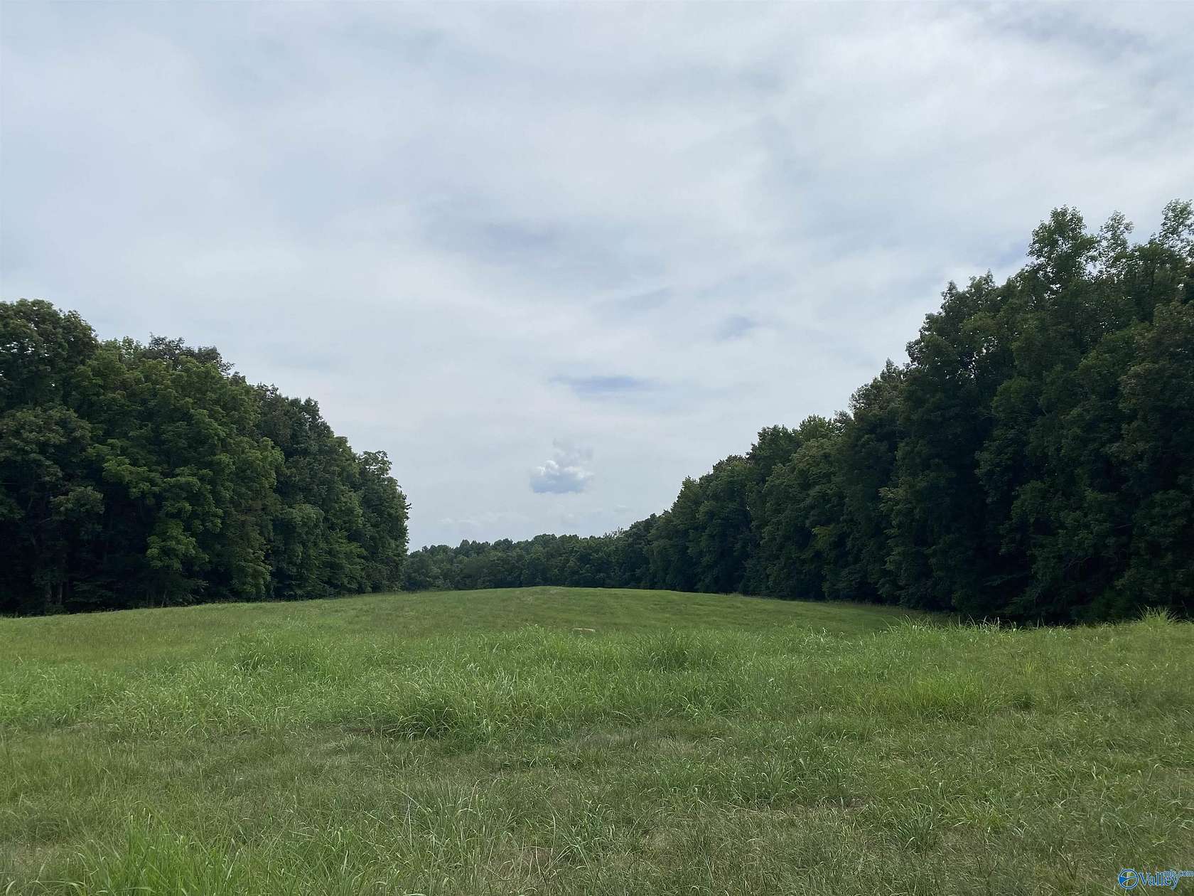 28.59 Acres of Recreational Land for Sale in Athens, Alabama