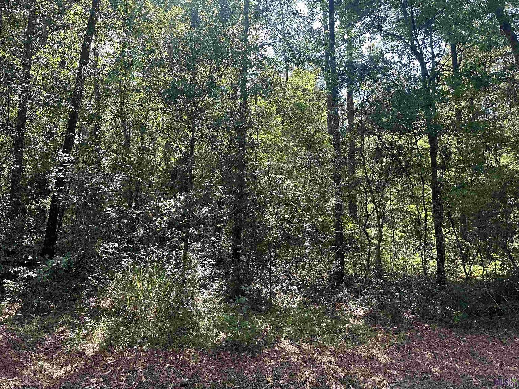 5.64 Acres of Residential Land for Sale in Robert, Louisiana