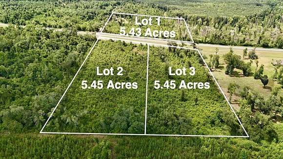 5.43 Acres of Residential Land for Sale in Cottondale, Florida