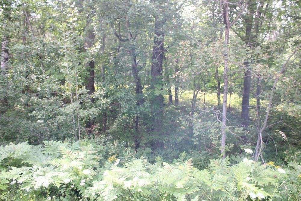 1.01 Acres of Land for Sale in Harrison, Michigan