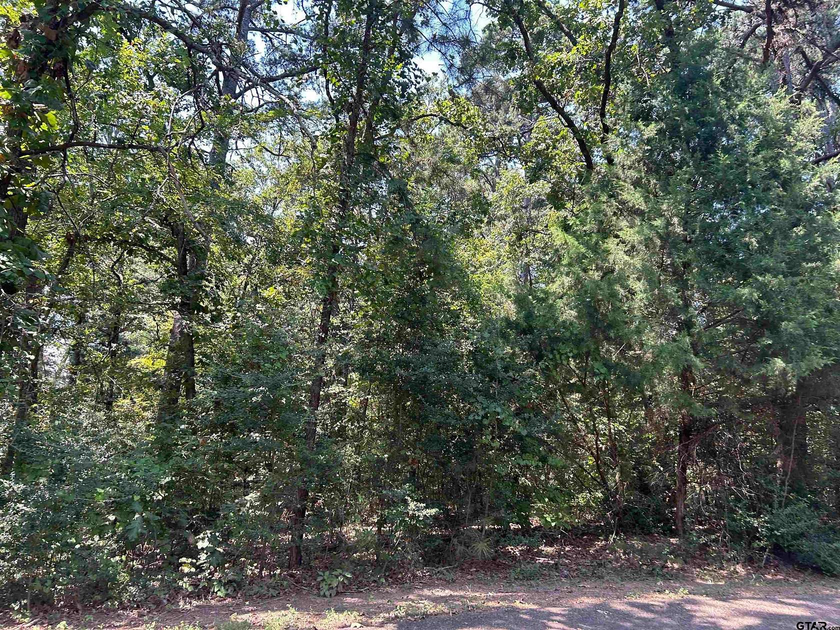 0.3 Acres of Residential Land for Sale in Flint, Texas