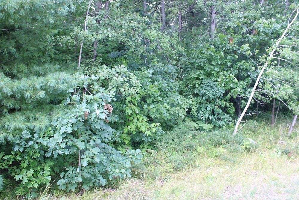 1.08 Acres of Land for Sale in Harrison, Michigan