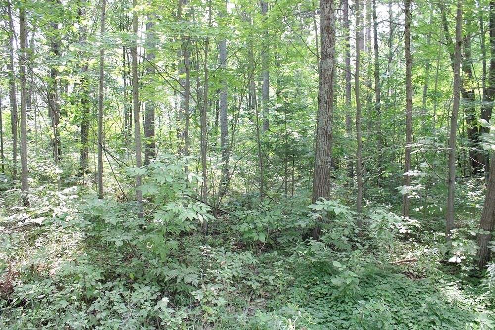 1 Acre of Land for Sale in Harrison, Michigan