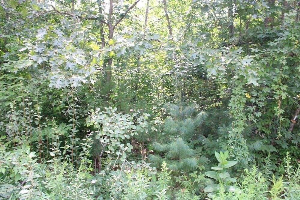 1.18 Acres of Land for Sale in Harrison, Michigan