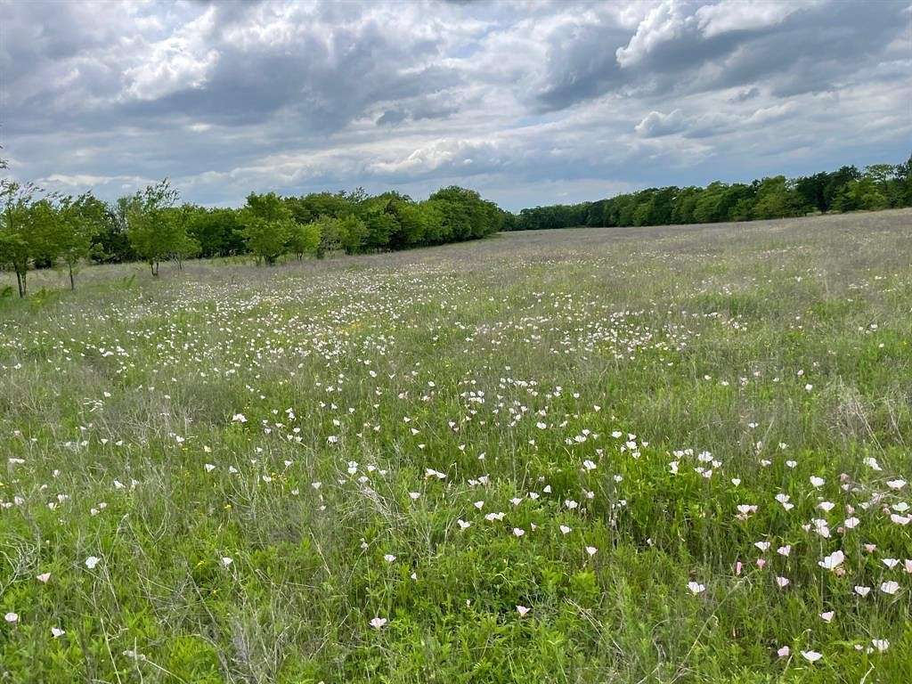 48.13 Acres of Agricultural Land for Sale in Greenville, Texas