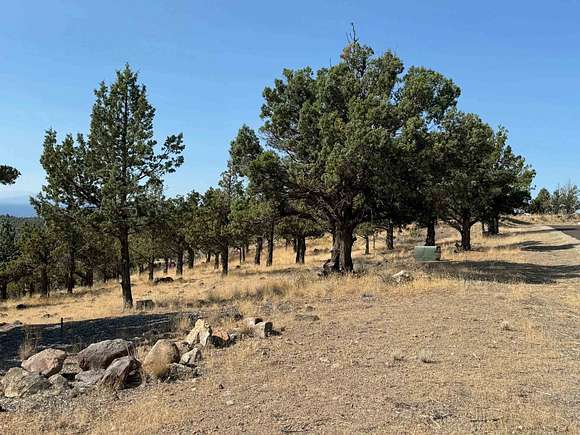 0.35 Acres of Residential Land for Sale in Weed, California