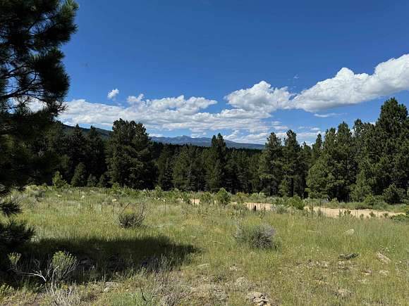 0.35 Acres of Residential Land for Sale in Angel Fire, New Mexico