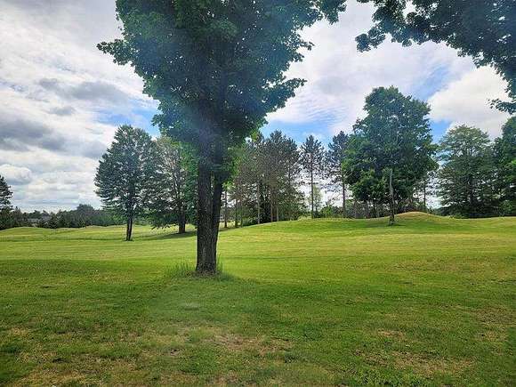 0.5 Acres of Residential Land for Sale in Vanderbilt, Michigan