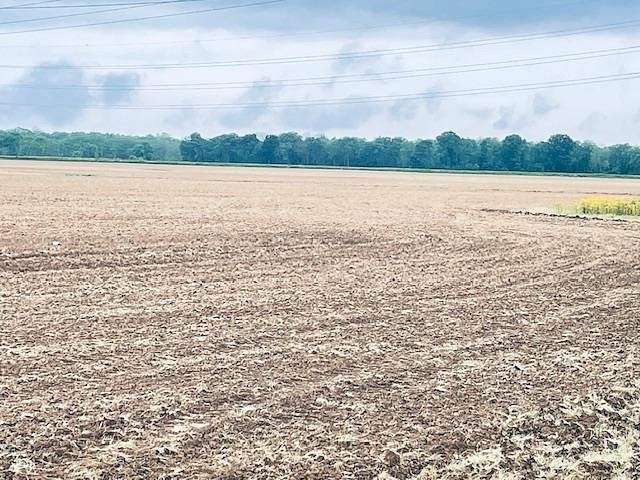 285 Acres of Recreational Land & Farm for Sale in Dyersburg, Tennessee