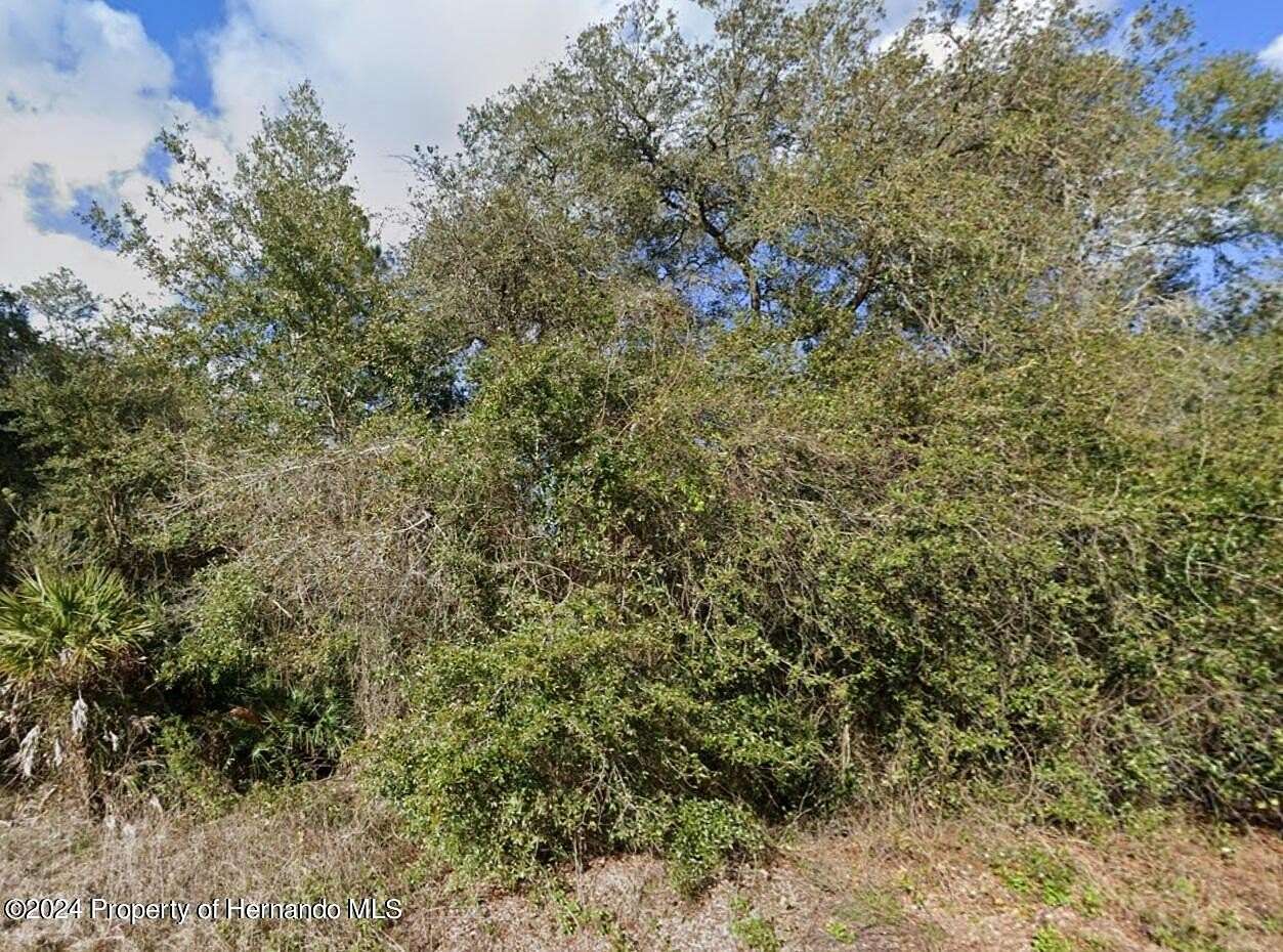 1.16 Acres of Residential Land for Sale in Webster, Florida