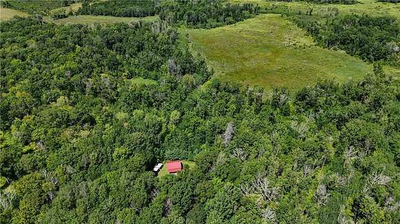 159.46 Acres of Recreational Land for Sale in Byron Township, Minnesota