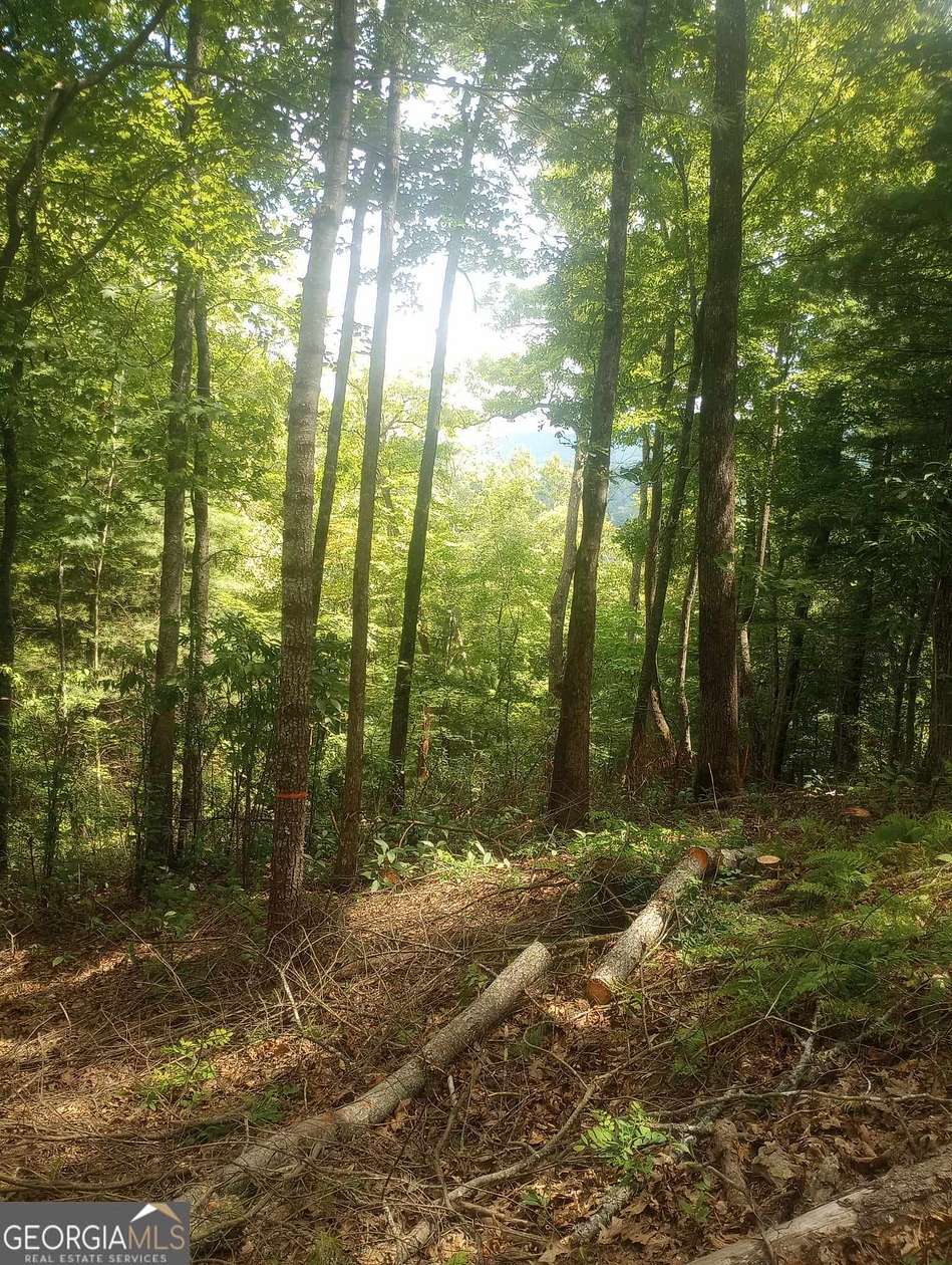 0.7 Acres of Residential Land for Sale in Sky Valley, Georgia