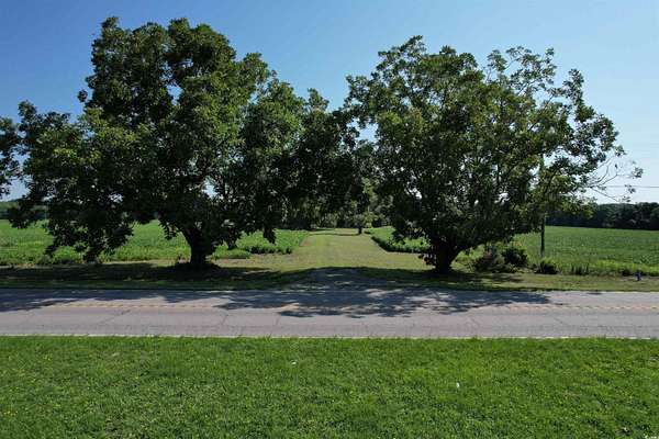 33.5 Acres of Land for Sale in Kingstree, South Carolina