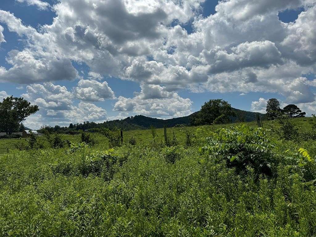 1 Acre of Residential Land for Sale in Hayesville, North Carolina