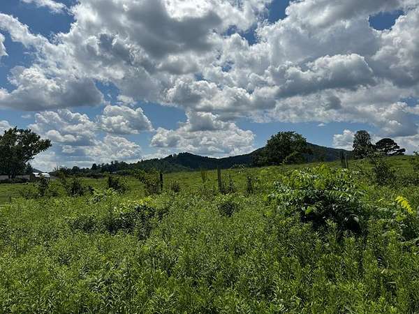 1 Acre of Residential Land for Sale in Hayesville, North Carolina