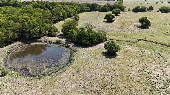 19.628 Acres of Agricultural Land for Sale in Wolfe City, Texas