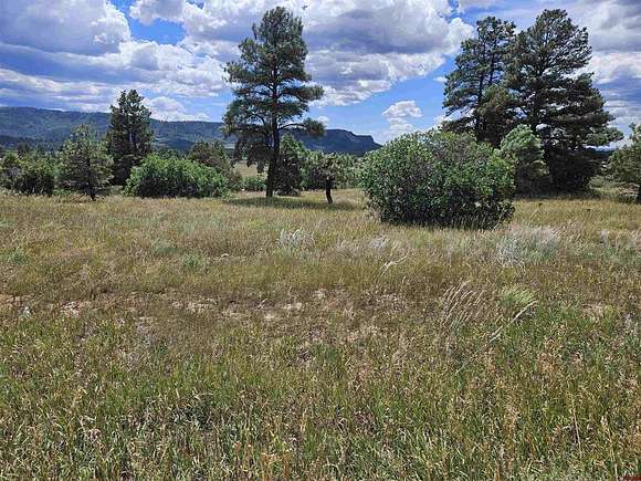 0.23 Acres of Residential Land for Sale in Pagosa Springs, Colorado