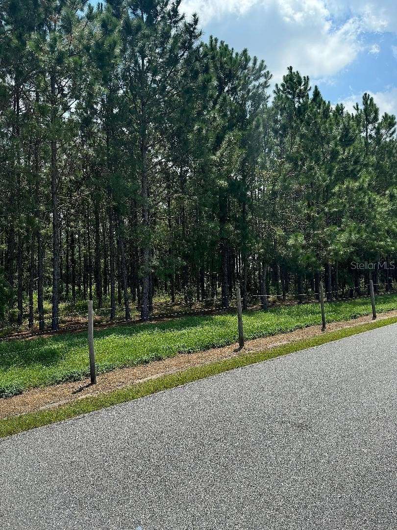 4.91 Acres of Residential Land for Sale in Oxford, Florida