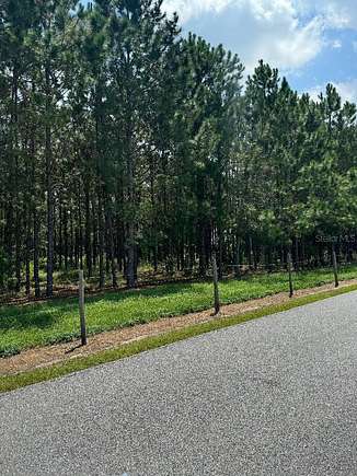 4.91 Acres of Residential Land for Sale in Oxford, Florida