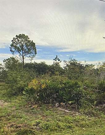 0.16 Acres of Residential Land for Sale in Poinciana, Florida