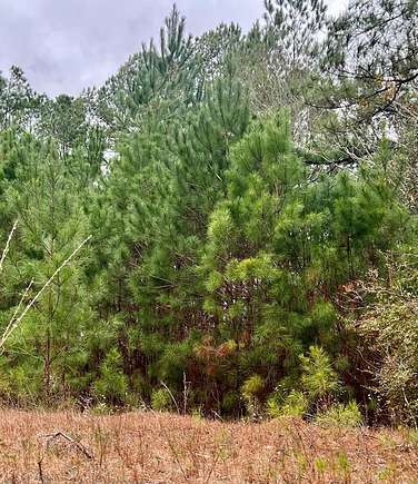 12.9 Acres of Recreational Land & Farm for Sale in Pelham, Georgia