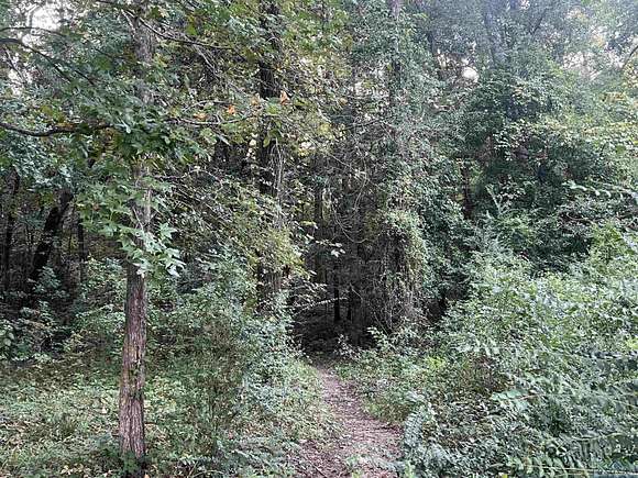 0.38 Acres of Residential Land for Sale in Gilmer, Texas