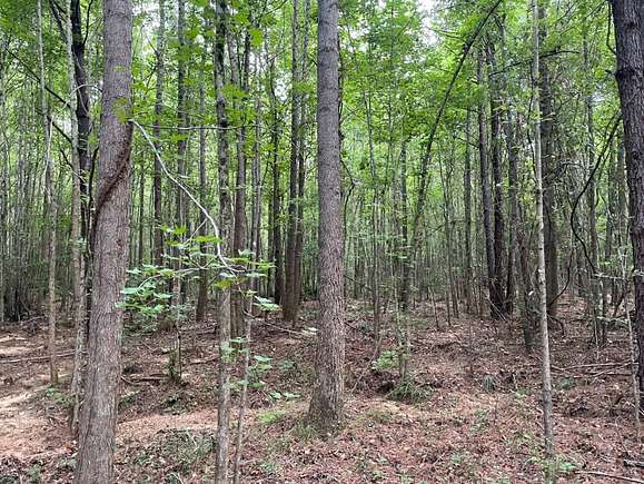 104 Acres of Land for Sale in Guin, Alabama