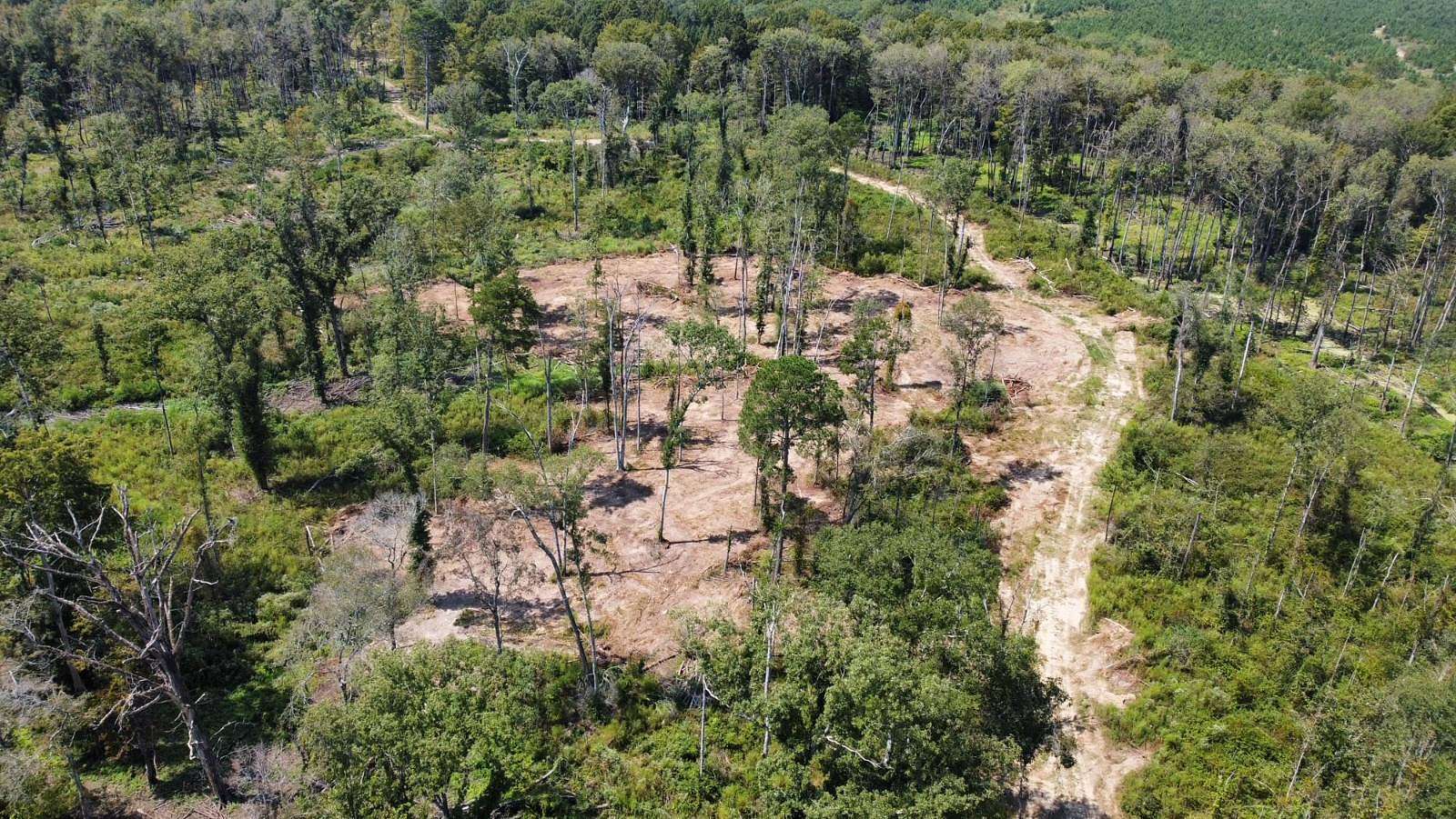 135 Acres of Recreational Land for Sale in Georgetown, Mississippi