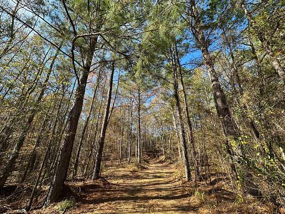 25 Acres of Recreational Land for Sale in Pelahatchie, Mississippi