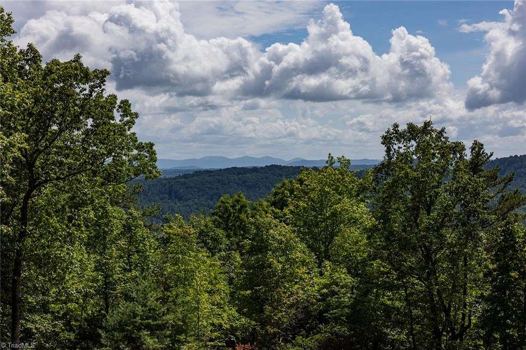 10.84 Acres of Land for Sale in McGrady, North Carolina